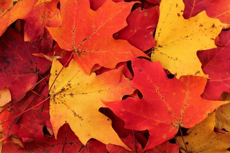 Winter programs Cleveland Nature Center at Shaker Lakes