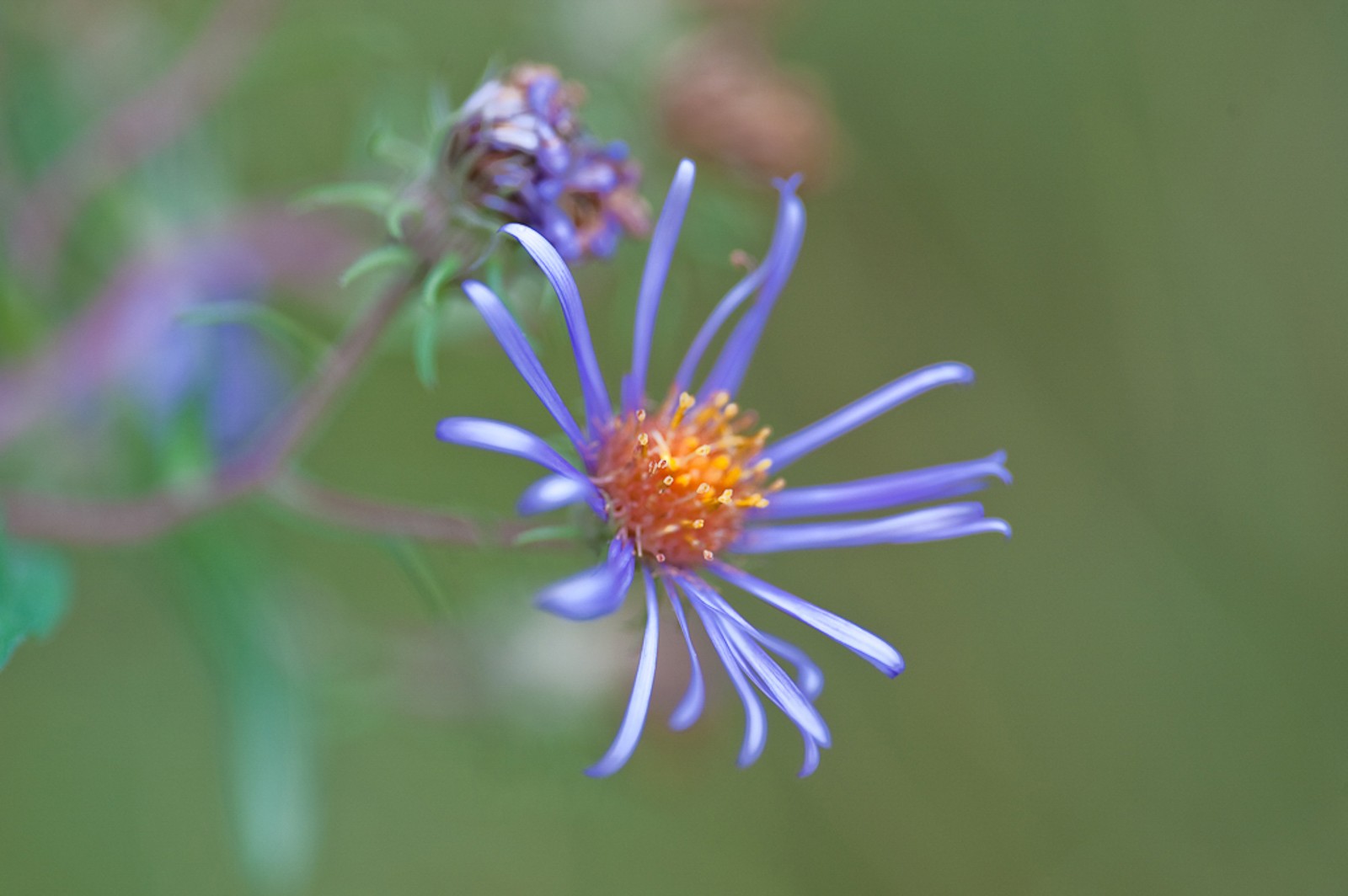 Shaker Lakes Nature Center