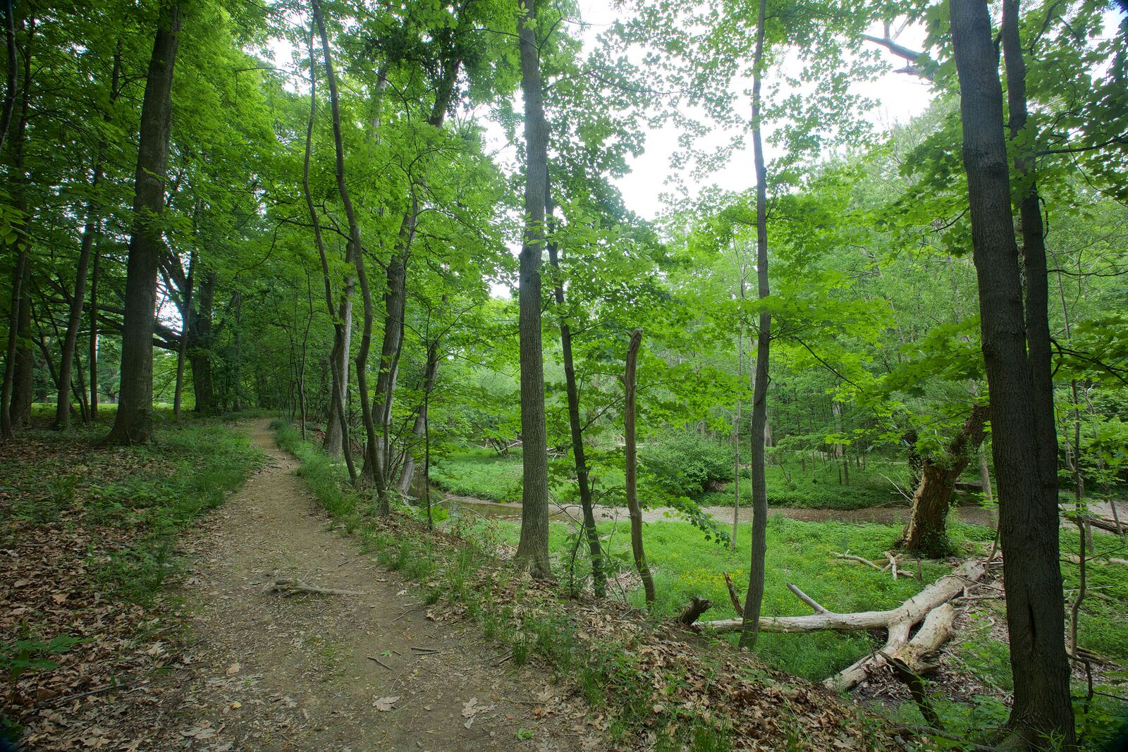 why-we-need-to-protect-and-preserve-public-lands-nature-center-at