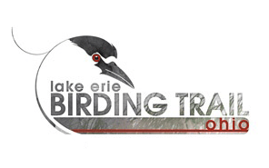 Lake Erie Birding Trail