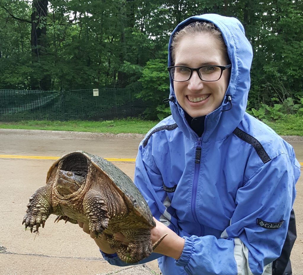 How Do You Move a Snapping Turtle? - Nature Center at Shaker Lakes