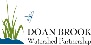 Doan Brook Watershed Partnership