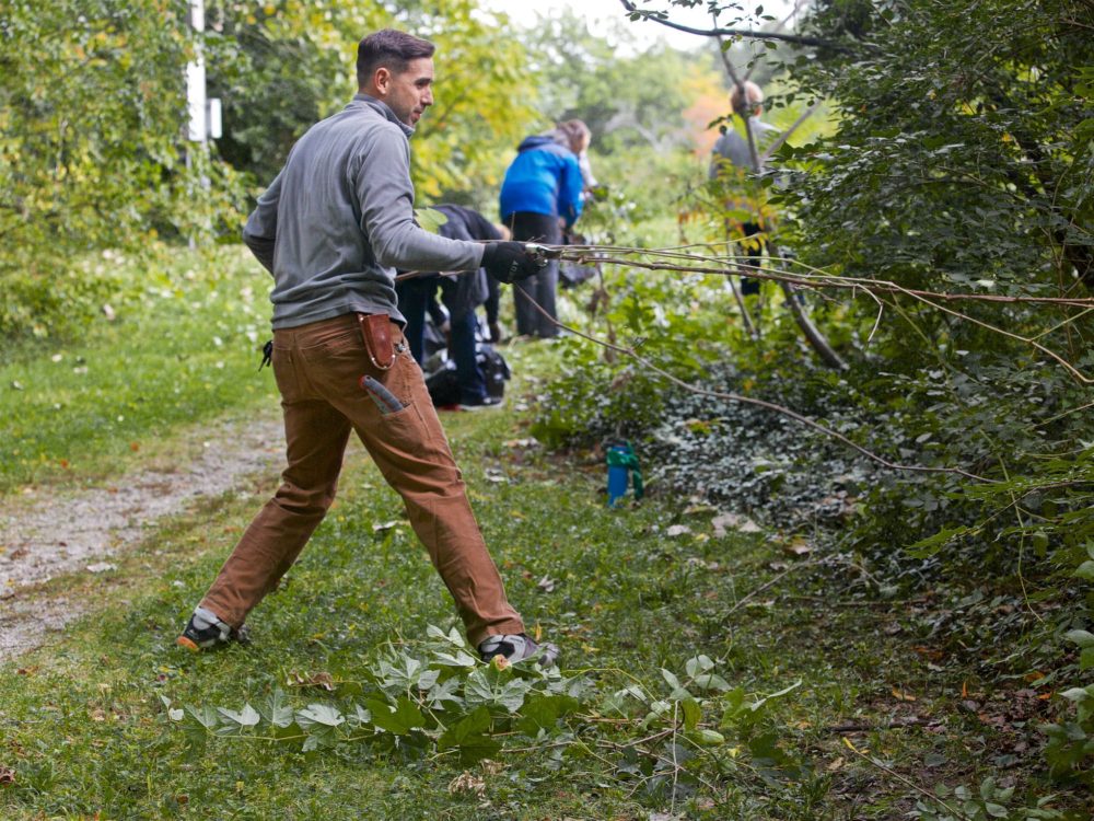 Accessible Trails near me