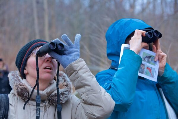 Birding programs in Cleveland