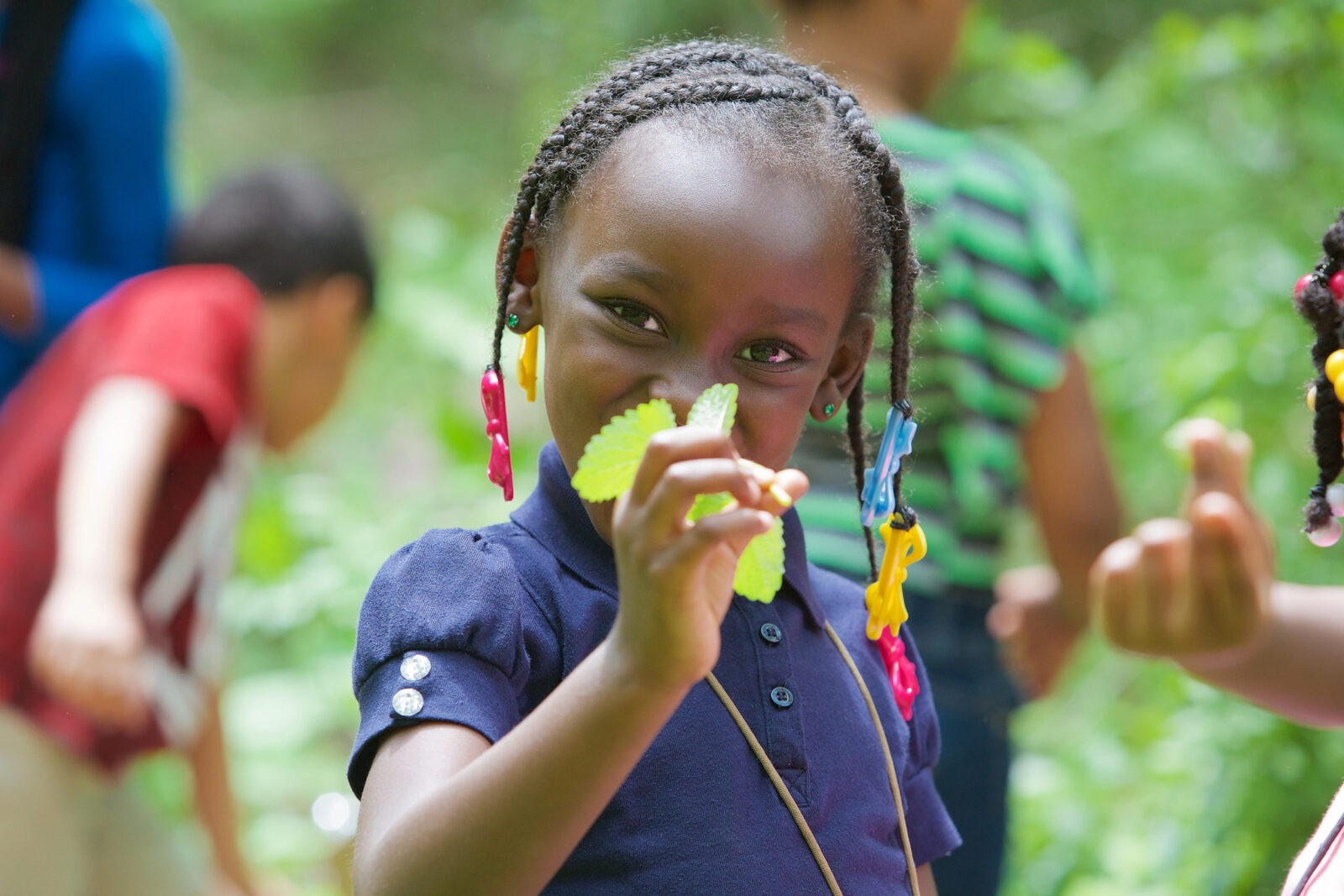 Ohio environmental education