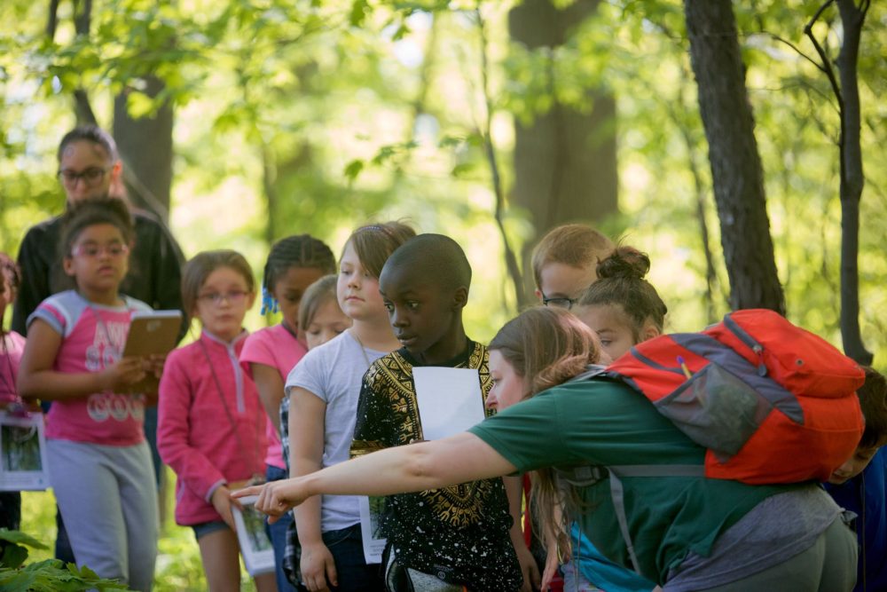 Nature Center at Shaker Lakes plant sale