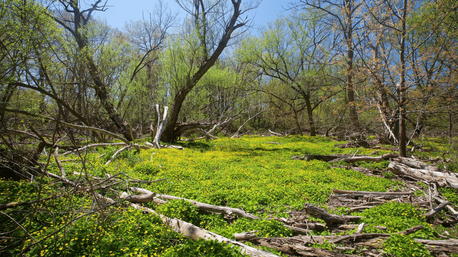 Family Nature Center Membership