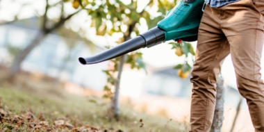 Electric Leaf Blower