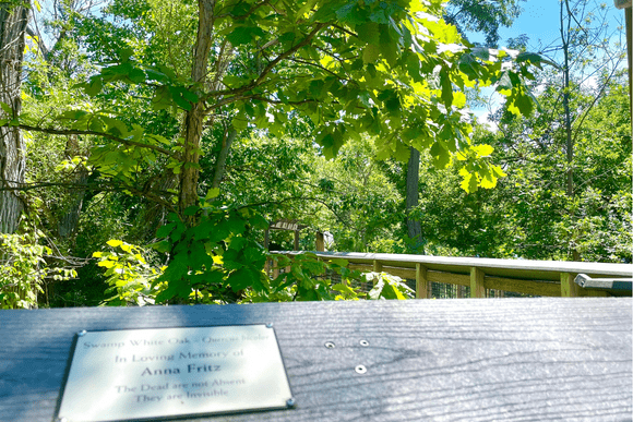 Nature Center at Shaker Lakes