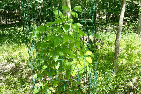 Nature Center at Shaker Lakes