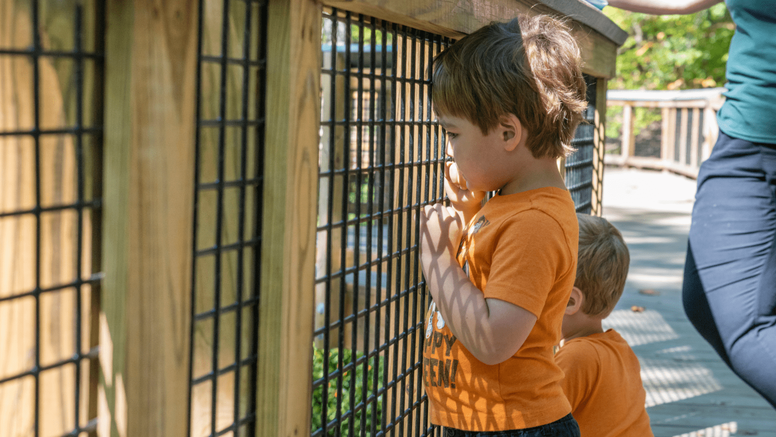 Shaker Lakes Nature Center