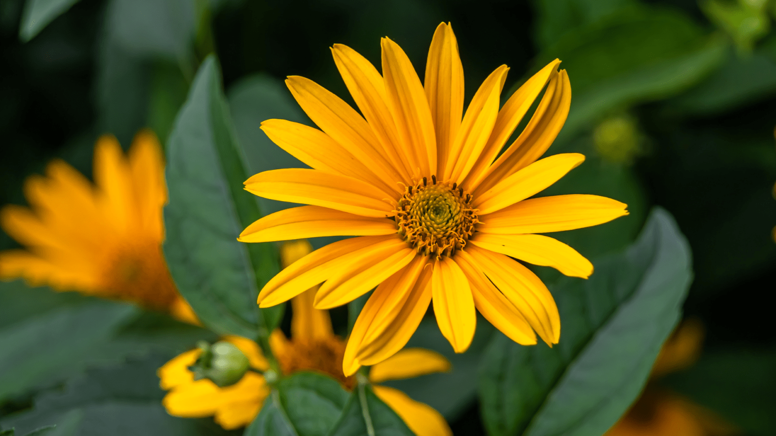 Nature Center at Shaker Lakes