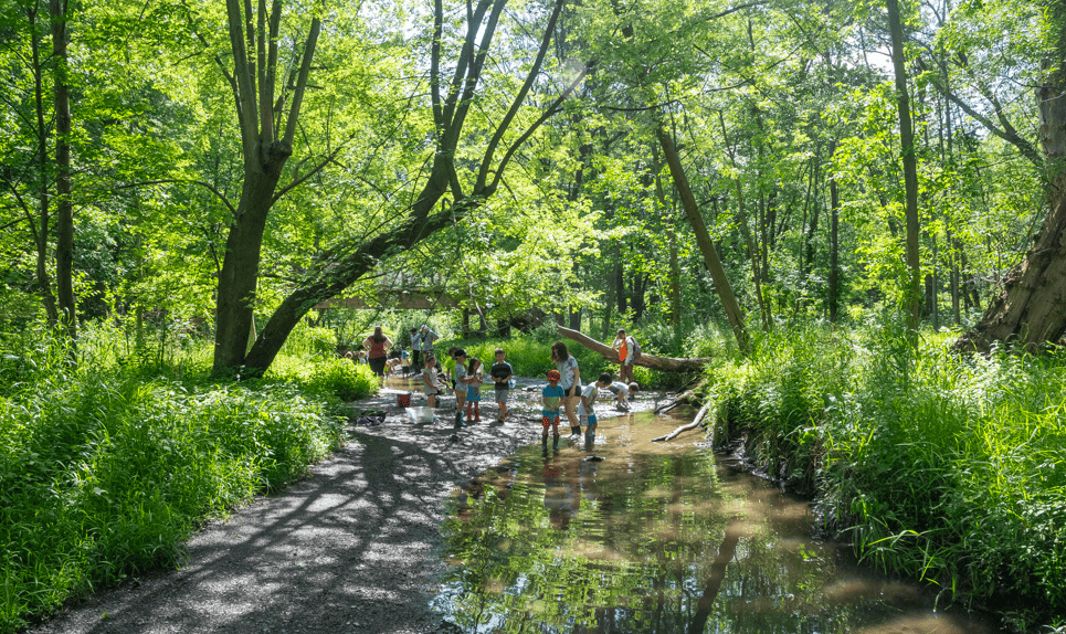 Outdoor Adventure Camp