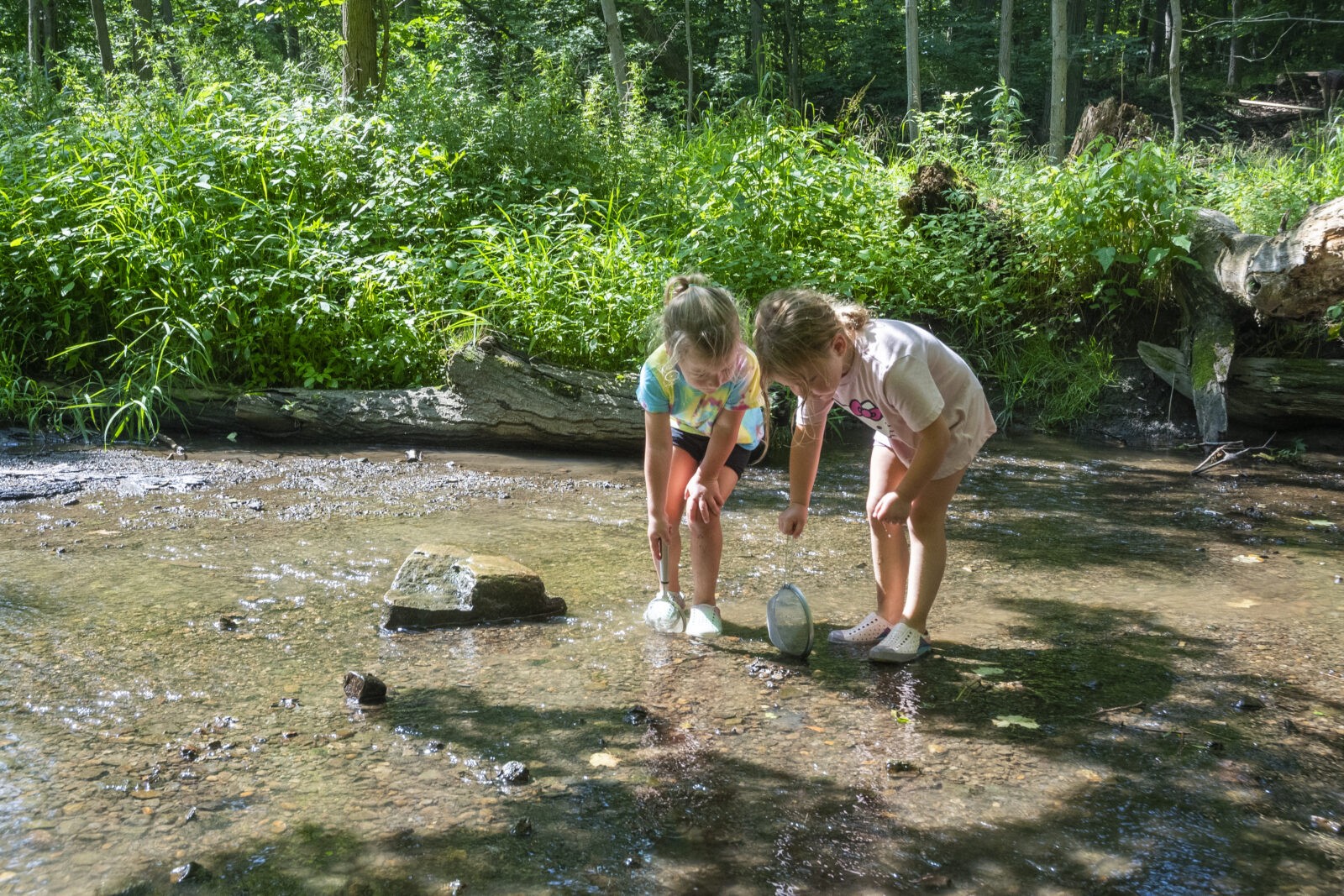 Cleveland Summer Camp