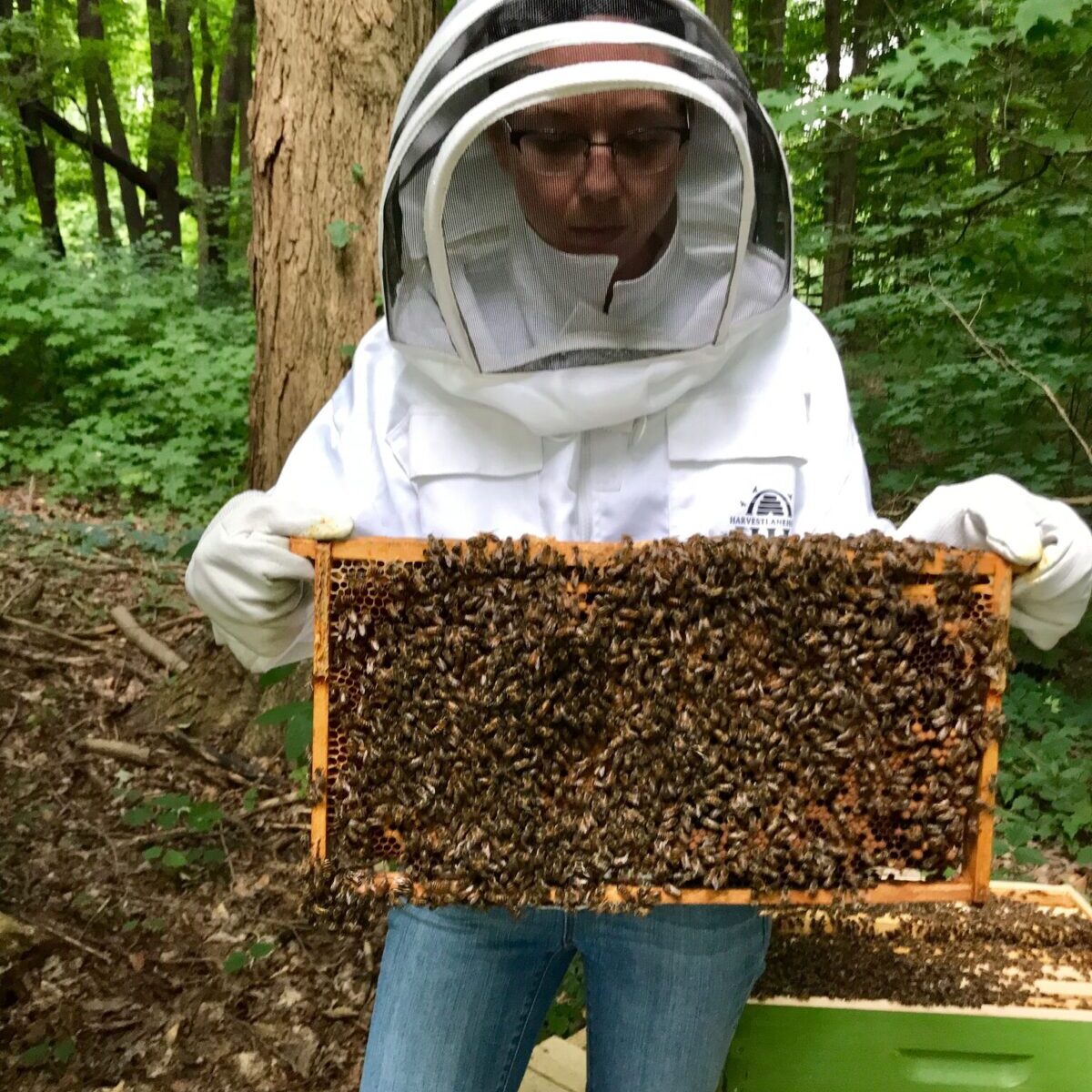 Ohio beekeepers